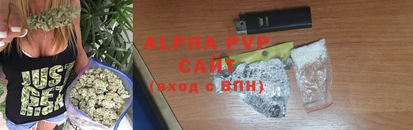 гашик Вяземский