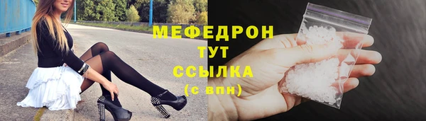 гашик Вяземский