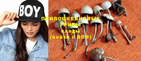 хмурый Вязники