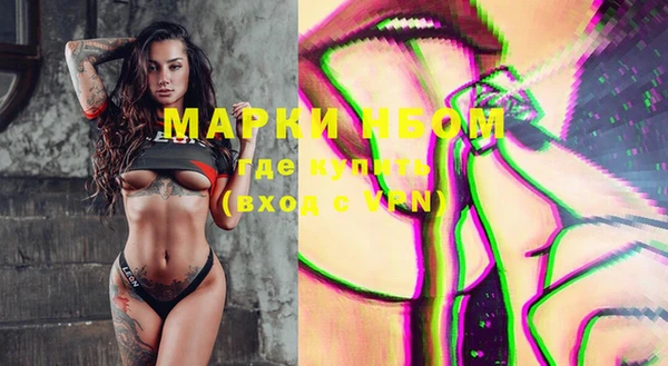 гашик Вяземский