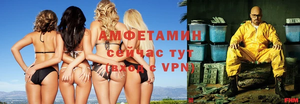 гашик Вяземский