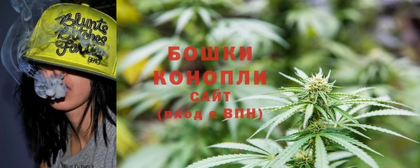 гашик Вяземский