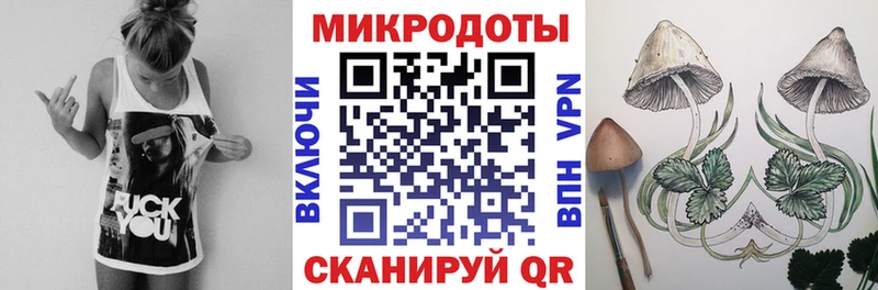 Купить  Тетюши  Псилоцибиновые грибы Psilocybe 